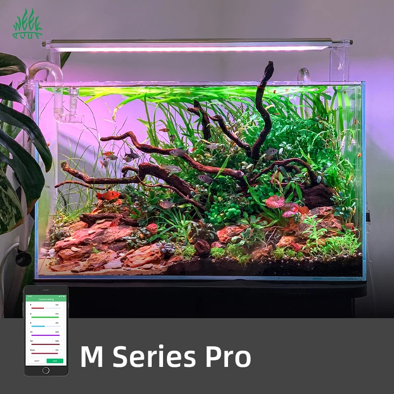 ZXY Hot Sales WEEK AQUA M1200P - Aquarium Plants For Sale ulasan dan harga