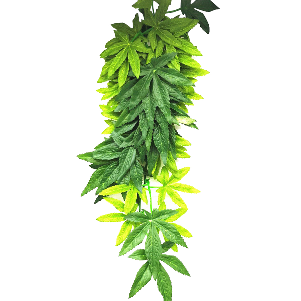HOT SALE 30/40/50CM Aquarium R - Aquarium Plants For Sale ulasan dan harga