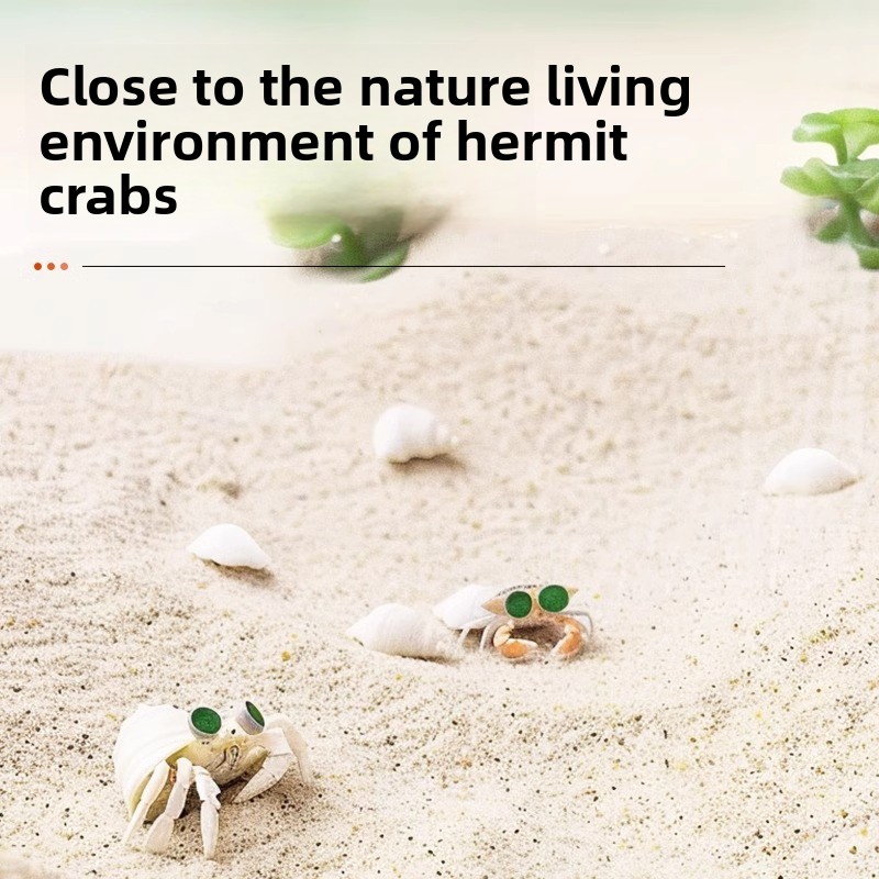 FKSC Hermit Crab Sand & Aquari - Aquarium Sand White ulasan dan harga