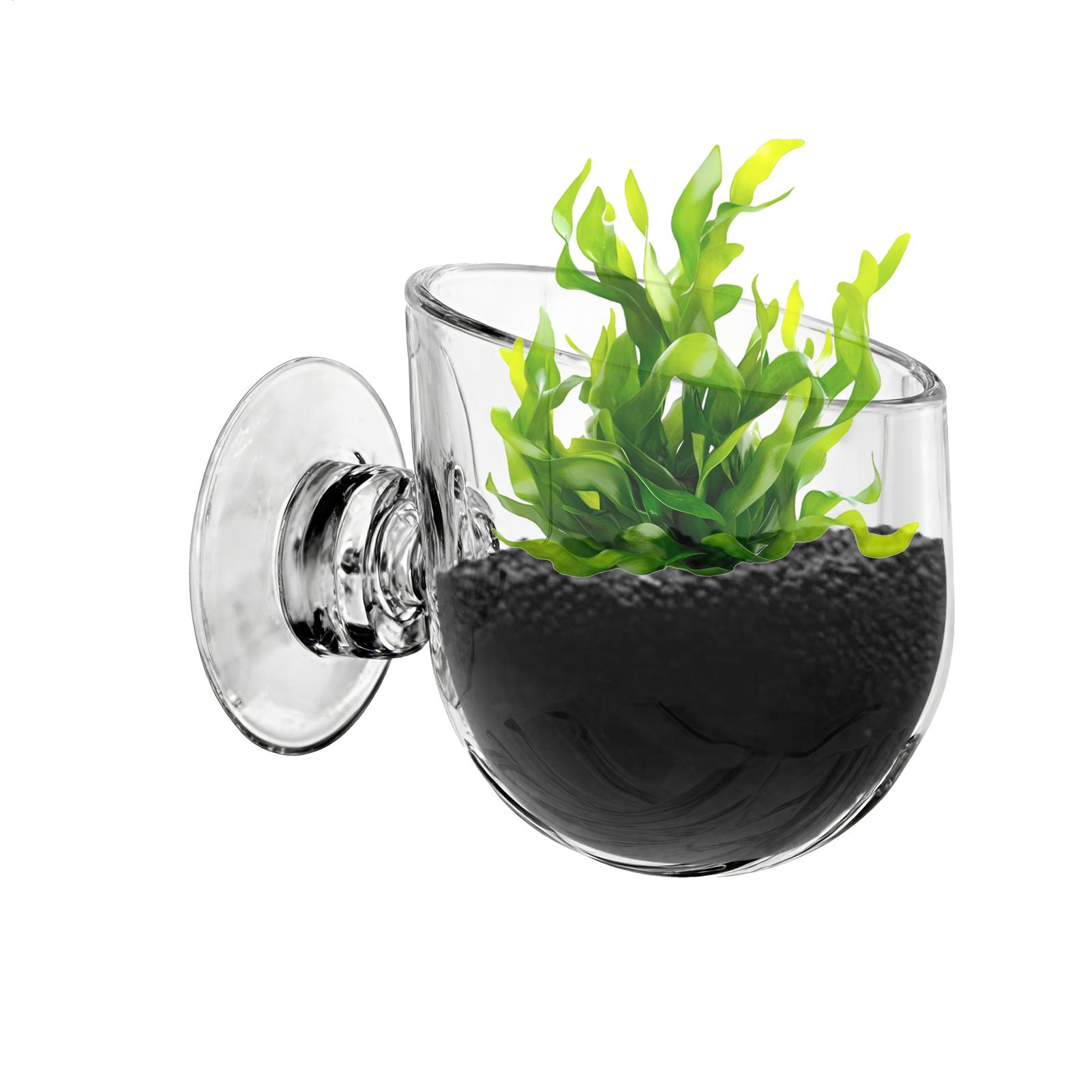 Aquarium Plant Holder Acrylic  - Aquarium Planted Background ulasan dan harga