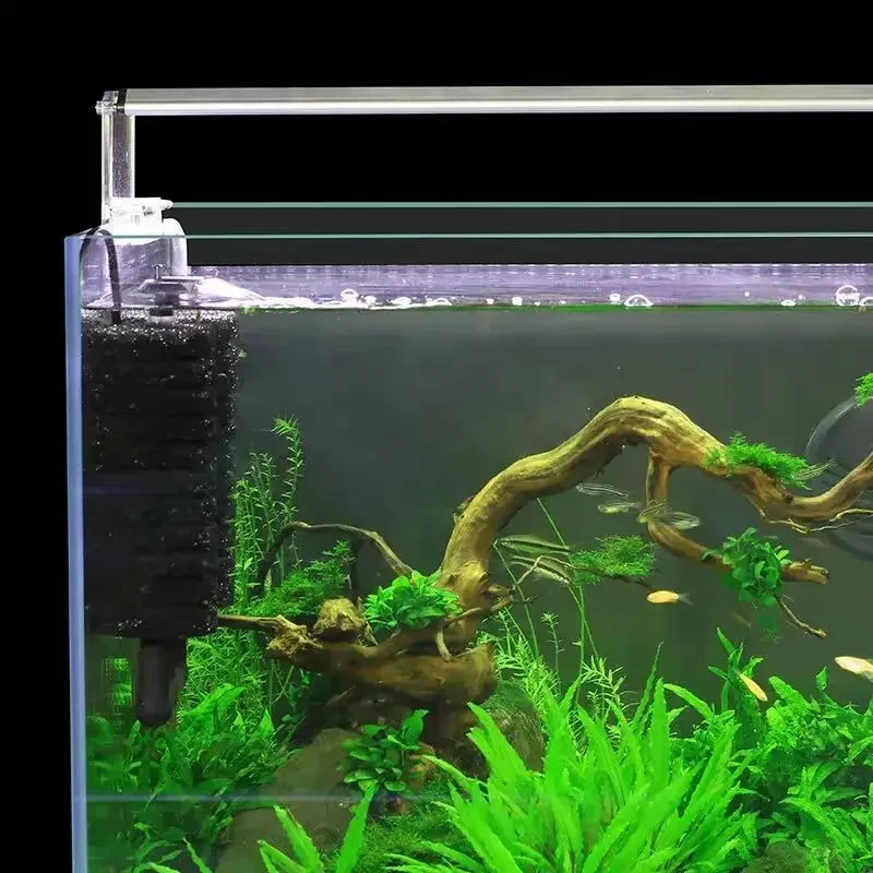3-IN-1 Clip on Electric Power  - Planted Aquarium Media ulasan dan harga