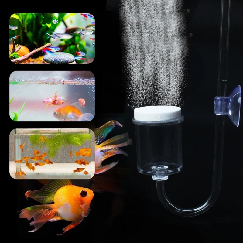 4pcs Set DIY CO2 Diffuser For  - Planted Aquarium Co2 Kit ulasan dan harga