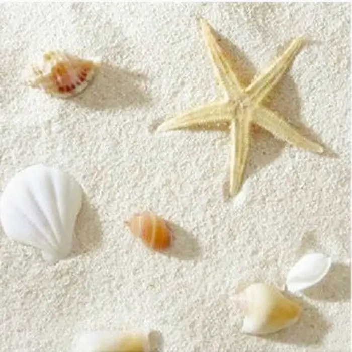 Naturelle Philippine Sand Cora - Aquarium Sand White ulasan dan harga