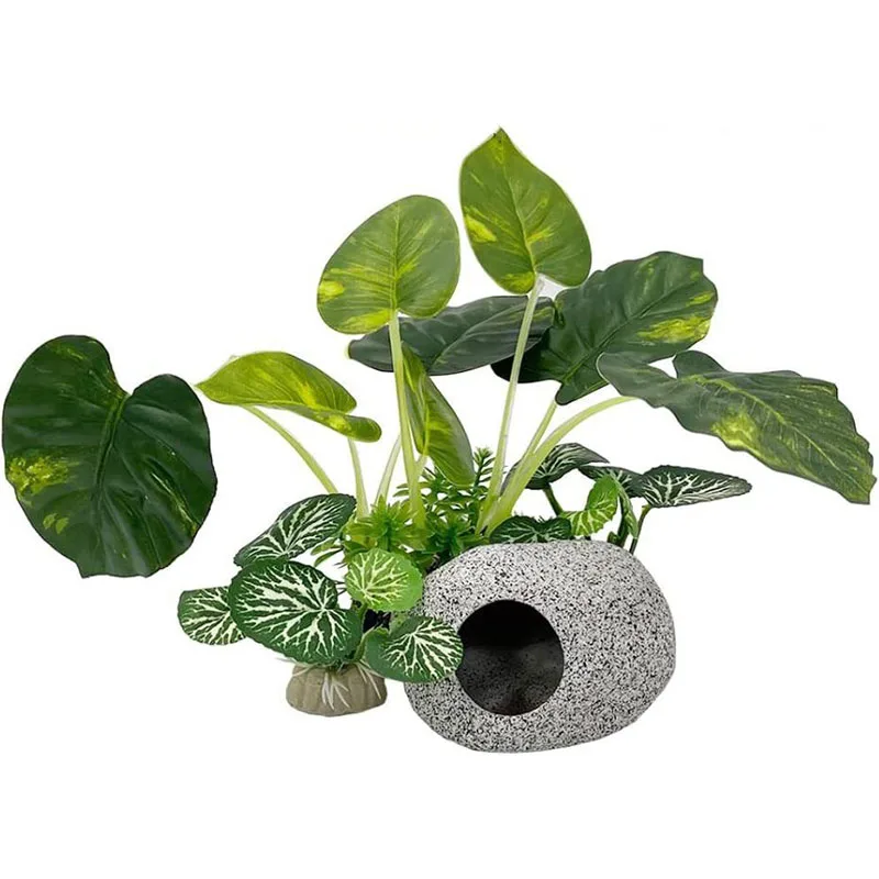 Small Underwater Grass Aquariu - Aquarium Planted Background ulasan dan harga