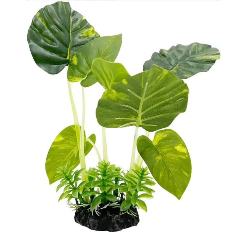 Small Underwater Grass Aquariu - Aquarium Planted Background ulasan dan harga