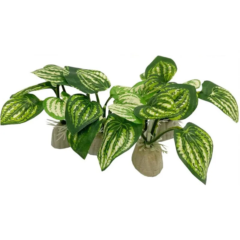 Small Underwater Grass Aquariu - Aquarium Planted Background ulasan dan harga